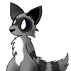 Raccoon