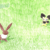 Colored Pencil Battle